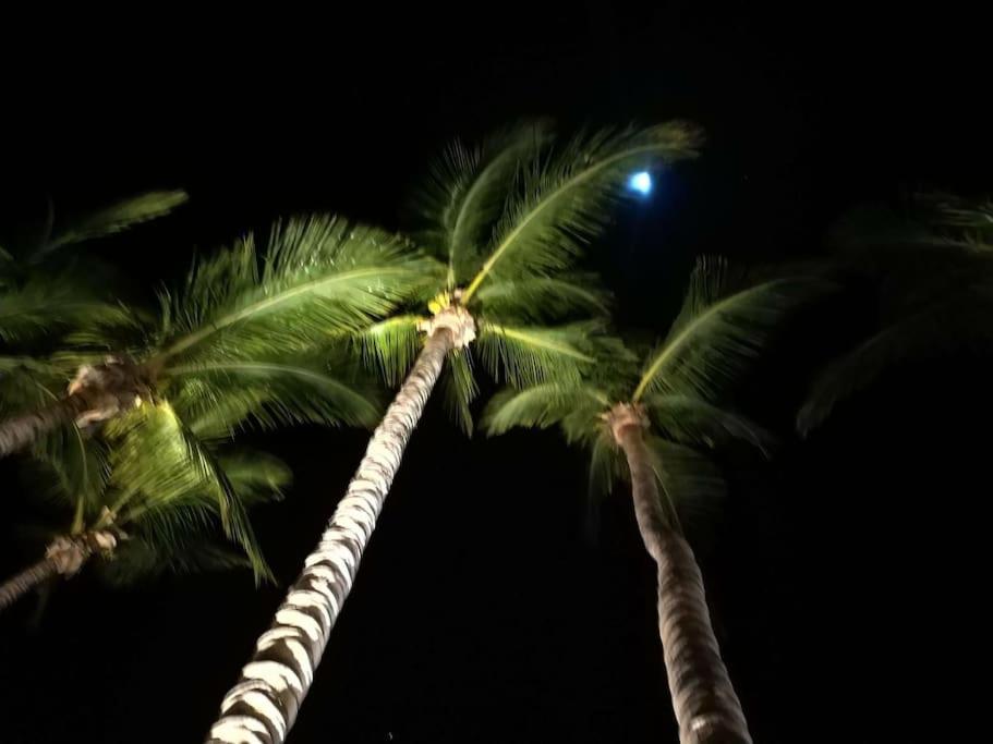 Demelza Ocean View * Las Palmas
